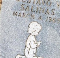 Gustavo V Salinas