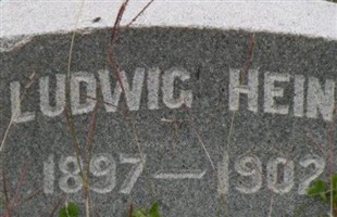 Gustavus Ludwig "August" Heine (2206176.jpg) Gustavus Ludwig "August" Heine (2206176.jpg)