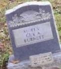 Guy A Burnett Guy A Burnett