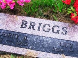 Guy S. Briggs Guy S. Briggs