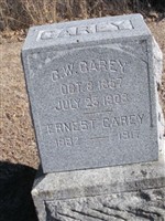 G. W. Carey G. W. Carey