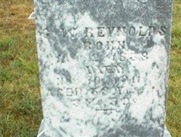G. W. Reynolds G. W. Reynolds