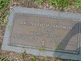 Gwenyth M Angwin Gwenyth M Angwin