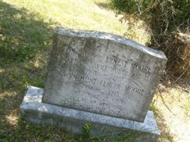 Gwyn Hunt Lenoir Moore Gwyn Hunt Lenoir Moore