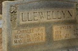 Gypalee P. Llewellyn Gypalee P. Llewellyn