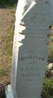 H Merrill Hardin H Merrill Hardin