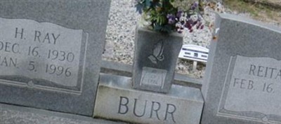 H Ray Burr