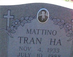 Ha Tran Ha Tran
