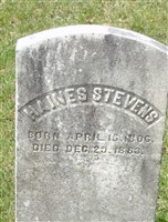 Haines Stevens Haines Stevens