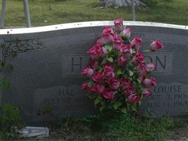 Hal Hamilton