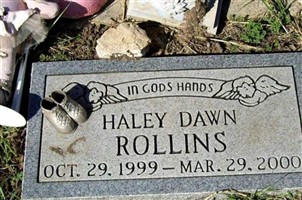 Haley Dawn Rollins