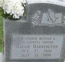 Hallie Harrington