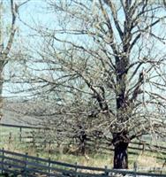 Halsey Cemetery, Crocketts Cove