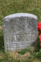 Halvor Nelson