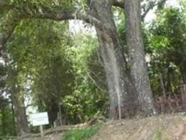 Hammock-Johnson Cemetery Hammock-Johnson Cemetery