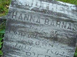 Hanna Barnas Luche