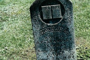 Hanna Jane Whitman Standley