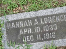 Hannah A Lorence