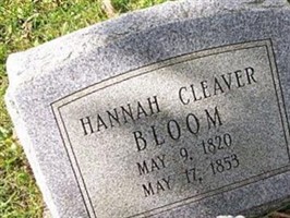 Hannah Cleaver Bloom