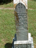 Hannah Cosby