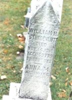 Hannah Maria Fox Sturdevant