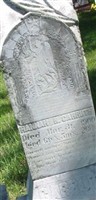 Hannah N. Carruth Hannah N. Carruth