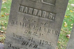 Hannah Rees Labar