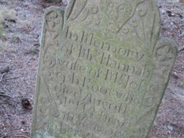 Hannah Root
