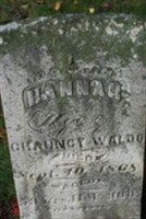 Hannah Waldo