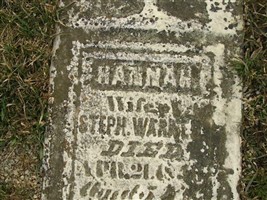 Hannah Warner Hannah Warner