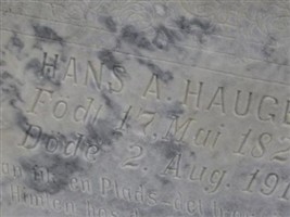 Hans A. Haugen Hans A. Haugen