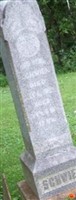Hans Henry Schwien