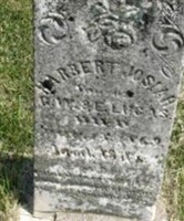 Harbert Josiah Lucas