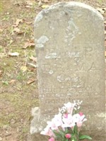 Hardy P. Crum