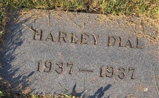 Harley Dial