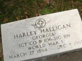 Harley Halligan