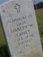 Harley Wilson Laney