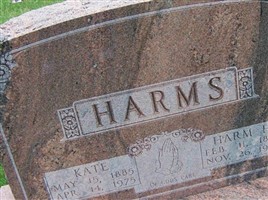 Harm H. Harms