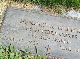 Harold A Tillman Harold A Tillman