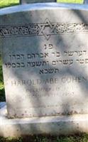 Harold Abe Cohen