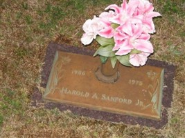 Harold Ansel Sanford, Jr