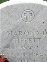 Harold David Tippett