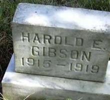 Harold E Gibson