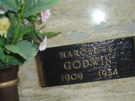 Harold E Godwin