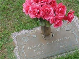 Harold E. Hattaway (2437130.jpg)