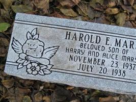 Harold E Marsh