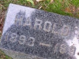 Harold E Raynor