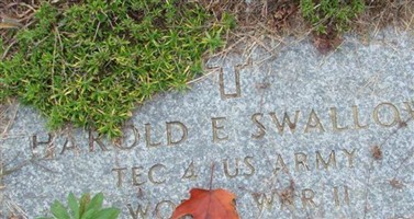 Harold Elliot Swallow