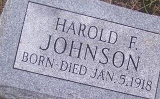 Harold F Johnson