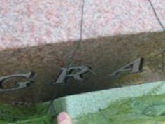 Harold Graf Harold Graf